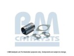 BM Catalysts FK11509C