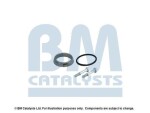 BM Catalysts FK11510B