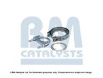BM Catalysts FK80249A