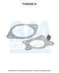 BM CATALYSTS  Montaažikomplekt, katalüsaator FK80481