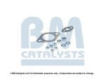 BM Catalysts FK92750B