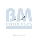 BM Catalysts PP15134A