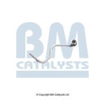 BM Catalysts PP92647A