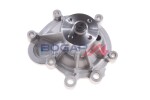Водяной насос,  охлаждение двигателя BOGAP Premium C4234113
