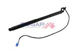 Elektrimootor,  tagaluuk BOGAP Premium C5260130