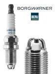 BorgWarner (BERU)  Süüteküünal Z14