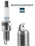 BorgWarner (BERU) Süüteküünal Z293
