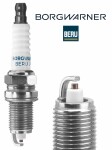 BorgWarner (BERU) Süüteküünal Z506
