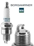 BorgWarner (BERU) Z510