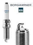 BorgWarner (BERU) Z528