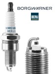 BorgWarner (BERU) Z530
