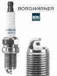 BorgWarner (BERU) Z541