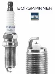 BorgWarner (BERU) Z548