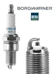 BorgWarner (BERU) Z8