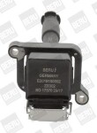 BorgWarner (BERU)  Süütepool 12V ZS302