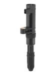BorgWarner (BERU)  Süütepool 12V ZS552