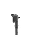 BorgWarner (BERU)  Süütepool 12V ZS603