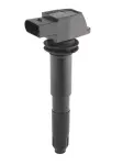 BorgWarner (BERU)  Süütepool 12V ZSE012