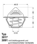 BorgWarner (Wahler)  Termostaat,Jahutusvedelik 3017.92D2