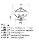 BorgWarner (Wahler)  Termostaat,Jahutusvedelik 4116.87D1