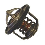 BorgWarner (Wahler)  Termostaat,Jahutusvedelik 411716.88D