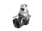 BorgWarner (Wahler)  EGR-klapp BW Original 710327D/1