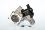 BorgWarner (Wahler)  EGR-klapp 710575D/1