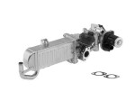 BorgWarner (Wahler)  EGR-moodul OE-Version/Genuine 710861D