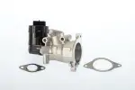BorgWarner (Wahler)  EGR-klapp 710926D
