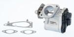 BorgWarner (Wahler)  EGR-klapp 710938D/1