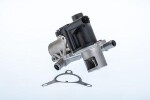 BorgWarner (Wahler) 710965R