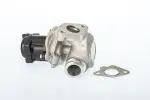 BorgWarner (Wahler)  EGR-klapp 711021D/1
