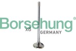 Borsehung  Sisselaskeventiil B10322