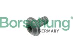 Borsehung B10635