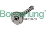 Borsehung  Nukkvõll B11319