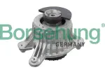 Borsehung B12648