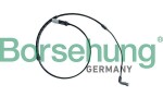Borsehung B13165