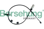 Borsehung B13169