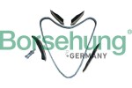 Borsehung B13295