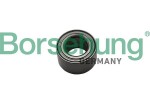 Borsehung Rattalaager B15622