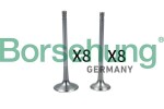 Borsehung  Sisselaskeventiil B18637