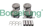 Borsehung  Kolvid B18740