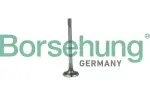 Borsehung Sisselaskeklapp B19020