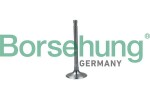 Borsehung  Sisselaskeventiil B19024