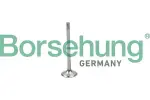 Borsehung Sisselaskeklapp B19025