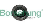 Borsehung  Vedruamordi tugilaager B19069
