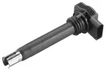 BOSCH  Süütepool 0 221 604 115