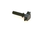 BOSCH Süütepool 0 221 604 700