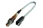 BOSCH Lambda andur 0 258 006 022