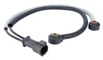 BOSCH  Detonatsiooniandur 0 261 231 142